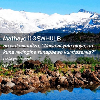 Picture 02 - Mathayo 11:3 SWHULB - na wakamuuliza, “Wewe ni yule ajaye, au kuna - Bible Verse Picture