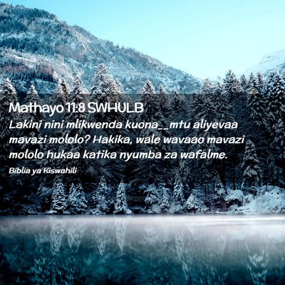 Picture 02 - Mathayo 11:8 SWHULB - Lakini nini mlikwenda kuona__mtu aliyevaa mavazi - Bible Verse Picture