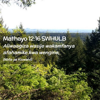 Picture 02 - Mathayo 12:16 SWHULB - Aliwaagiza wasije wakamfanya afahamike kwa - Bible Verse Picture