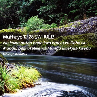 Picture 02 - Mathayo 12:28 SWHULB - Na kama natoa pepo kwa nguvu za Roho wa Mungu, - Bible Verse Picture