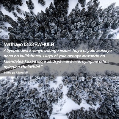 Picture 02 - Mathayo 13:23 SWHULB - Aliyepandwa kwenye udongo mzuri, huyu ni yule - Bible Verse Picture