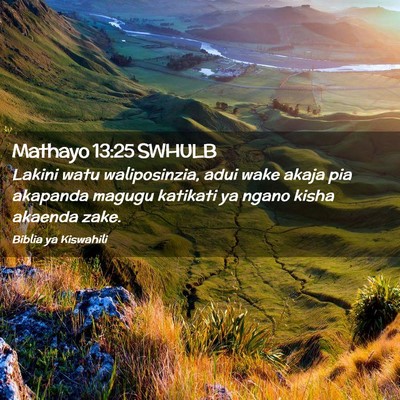 Picture 02 - Mathayo 13:25 SWHULB - Lakini watu waliposinzia, adui wake akaja pia - Bible Verse Picture