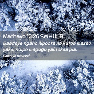 Picture 02 - Mathayo 13:26 SWHULB - Baadaye ngano ilipoota na kutoa mazao yake, ndipo - Bible Verse Picture