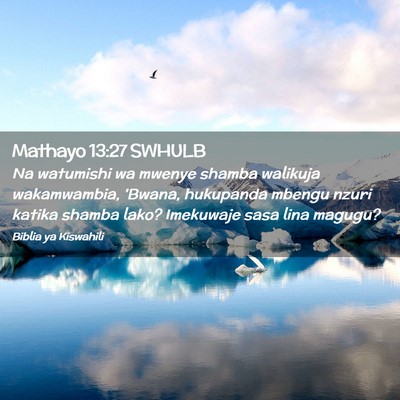 Picture 02 - Mathayo 13:27 SWHULB - Na watumishi wa mwenye shamba walikuja - Bible Verse Picture