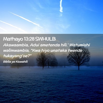 Picture 02 - Mathayo 13:28 SWHULB - Akawaambia, Adui ametenda hili.' Watumishi - Bible Verse Picture