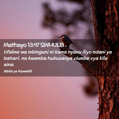 Picture 02 - Mathayo 13:47 SWHULB - Ufalme wa mbinguni ni kama nyavu iliyo ndani ya - Bible Verse Picture
