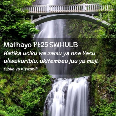 Picture 02 - Mathayo 14:25 SWHULB - Katika usiku wa zamu ya nne Yesu aliwakaribia, - Bible Verse Picture