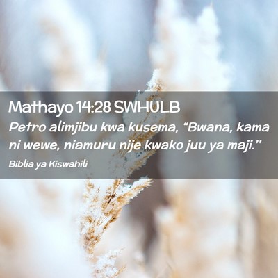 Picture 02 - Mathayo 14:28 SWHULB - Petro alimjibu kwa kusema, “Bwana, kama ni - Bible Verse Picture