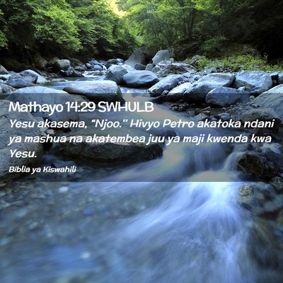 Picture 02 - Mathayo 14:29 SWHULB - Yesu akasema, “Njoo.'' Hivyo Petro akatoka - Bible Verse Picture