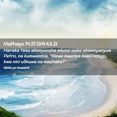 Picture 02 - Mathayo 14:31 SWHULB - Haraka Yesu akanyoosha mkono wake akamnyanyua - Bible Verse Picture