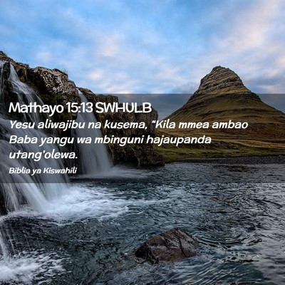 Picture 02 - Mathayo 15:13 SWHULB - Yesu aliwajibu na kusema, “Kila mmea ambao Baba - Bible Verse Picture
