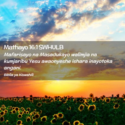 Picture 02 - Mathayo 16:1 SWHULB - Mafarisayo na Masadukayo walimjia na kumjaribu - Bible Verse Picture