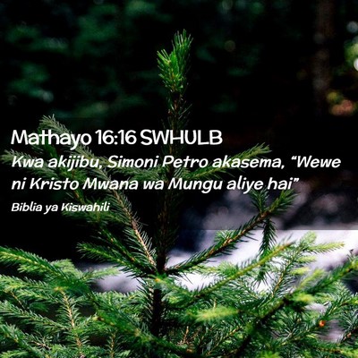 Picture 02 - Mathayo 16:16 SWHULB - Kwa akijibu, Simoni Petro akasema, “Wewe ni - Bible Verse Picture