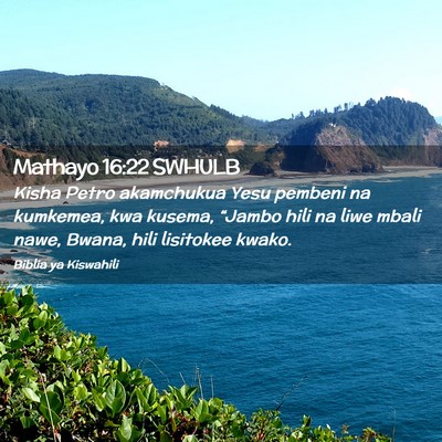 Picture 02 - Mathayo 16:22 SWHULB - Kisha Petro akamchukua Yesu pembeni na kumkemea, - Bible Verse Picture