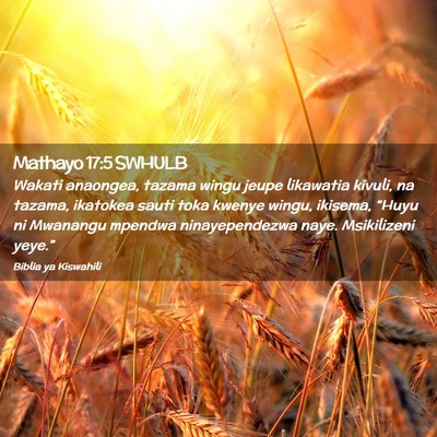Picture 02 - Mathayo 17:5 SWHULB - Wakati anaongea, tazama wingu jeupe likawatia - Bible Verse Picture