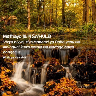 Picture 02 - Mathayo 18:14 SWHULB - Vivyo hivyo, siyo mapenzi ya Baba yenu wa - Bible Verse Picture