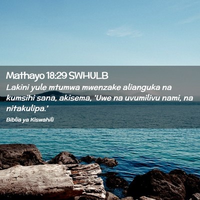 Picture 02 - Mathayo 18:29 SWHULB - Lakini yule mtumwa mwenzake alianguka na kumsihi - Bible Verse Picture