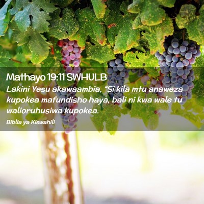Picture 02 - Mathayo 19:11 SWHULB - Lakini Yesu akawaambia, “Si kila mtu anaweza - Bible Verse Picture