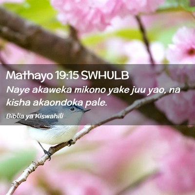 Picture 02 - Mathayo 19:15 SWHULB - Naye akaweka mikono yake juu yao, na kisha - Bible Verse Picture