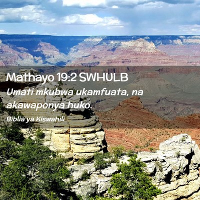 Picture 02 - Mathayo 19:2 SWHULB - Umati mkubwa ukamfuata, na akawaponya - Bible Verse Picture