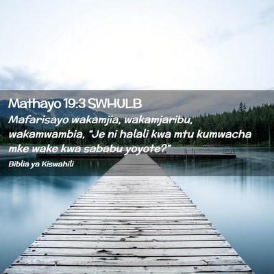 Picture 02 - Mathayo 19:3 SWHULB - Mafarisayo wakamjia, wakamjaribu, wakamwambia, - Bible Verse Picture