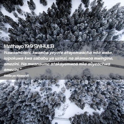 Picture 02 - Mathayo 19:9 SWHULB - Nawaambieni, kwamba yeyote atayemwacha mke wake, - Bible Verse Picture