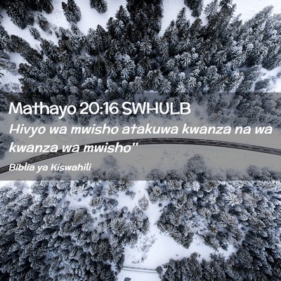 Picture 02 - Mathayo 20:16 SWHULB - Hivyo wa mwisho atakuwa kwanza na wa kwanza wa - Bible Verse Picture