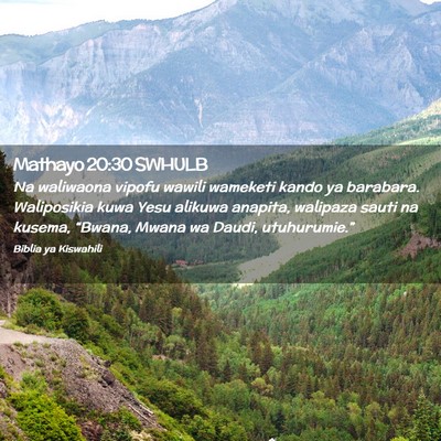 Picture 02 - Mathayo 20:30 SWHULB - Na waliwaona vipofu wawili wameketi kando ya - Bible Verse Picture