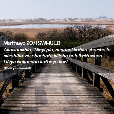 Picture 02 - Mathayo 20:4 SWHULB - Akawaambia, 'Ninyi pia, nendeni katika shamba la - Bible Verse Picture