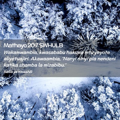 Picture 02 - Mathayo 20:7 SWHULB - Wakamwambia, kwasababu hakuna mtu yeyote - Bible Verse Picture