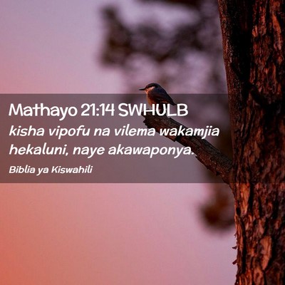 Picture 02 - Mathayo 21:14 SWHULB - kisha vipofu na vilema wakamjia hekaluni, naye - Bible Verse Picture
