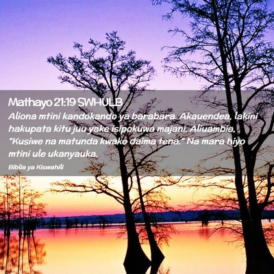 Picture 02 - Mathayo 21:19 SWHULB - Aliona mtini kandokando ya barabara. Akauendea, - Bible Verse Picture