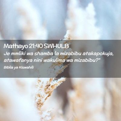Picture 02 - Mathayo 21:40 SWHULB - Je mmliki wa shamba la mizabibu atakapokuja, - Bible Verse Picture