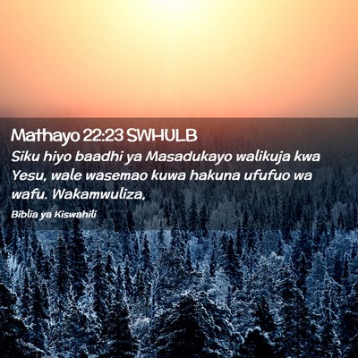Picture 02 - Mathayo 22:23 SWHULB - Siku hiyo baadhi ya Masadukayo walikuja kwa Yesu, - Bible Verse Picture