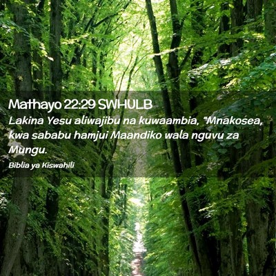 Picture 02 - Mathayo 22:29 SWHULB - Lakina Yesu aliwajibu na kuwaambia, “Mnakosea, - Bible Verse Picture