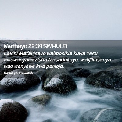 Picture 02 - Mathayo 22:34 SWHULB - Lakini Mafarisayo waliposikia kuwa Yesu - Bible Verse Picture