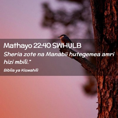 Picture 02 - Mathayo 22:40 SWHULB - Sheria zote na Manabii hutegemea amri hizi - Bible Verse Picture