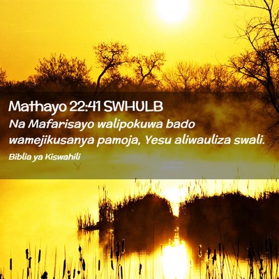 Picture 02 - Mathayo 22:41 SWHULB - Na Mafarisayo walipokuwa bado wamejikusanya - Bible Verse Picture