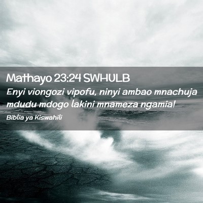 Picture 02 - Mathayo 23:24 SWHULB - Enyi viongozi vipofu, ninyi ambao mnachuja mdudu - Bible Verse Picture