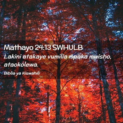 Picture 02 - Mathayo 24:13 SWHULB - Lakini atakaye vumilia mpaka mwisho, - Bible Verse Picture