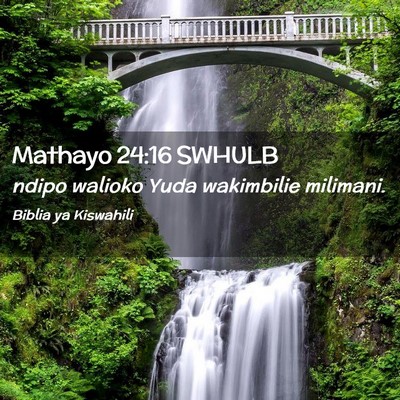 Picture 02 - Mathayo 24:16 SWHULB - ndipo walioko Yuda wakimbilie - Bible Verse Picture