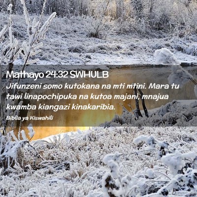 Picture 02 - Mathayo 24:32 SWHULB - Jifunzeni somo kutokana na mti mtini. Mara tu - Bible Verse Picture
