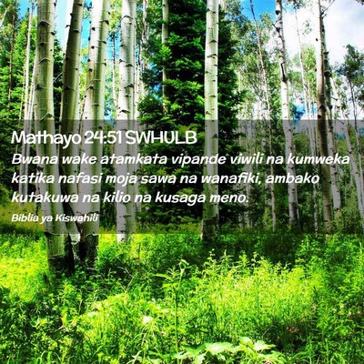 Picture 02 - Mathayo 24:51 SWHULB - Bwana wake atamkata vipande viwili na kumweka - Bible Verse Picture