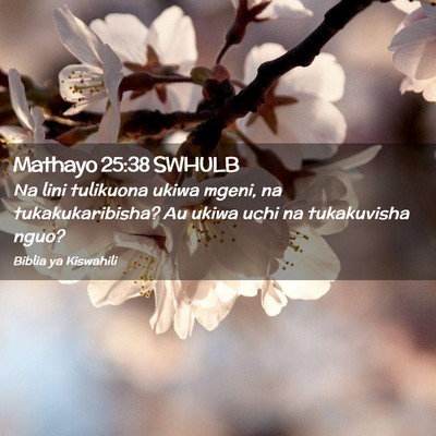 Picture 02 - Mathayo 25:38 SWHULB - Na lini tulikuona ukiwa mgeni, na - Bible Verse Picture
