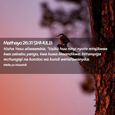 Picture 02 - Mathayo 26:31 SWHULB - Kisha Yesu aliwaambia, “Usiku huu ninyi nyote - Bible Verse Picture