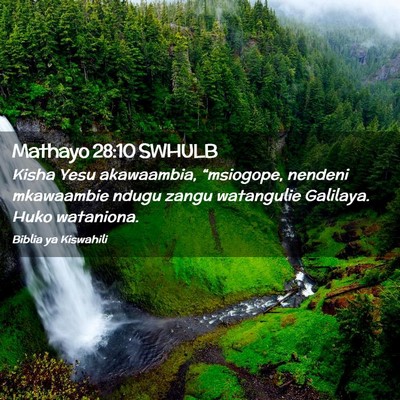 Picture 02 - Mathayo 28:10 SWHULB - Kisha Yesu akawaambia, “msiogope, nendeni - Bible Verse Picture