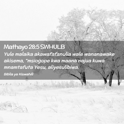 Picture 02 - Mathayo 28:5 SWHULB - Yule malaika akawafafanulia wale wananawake - Bible Verse Picture