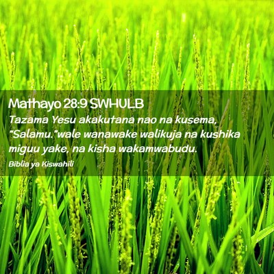 Picture 02 - Mathayo 28:9 SWHULB - Tazama Yesu akakutana nao na kusema, - Bible Verse Picture