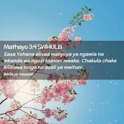 Picture 02 - Mathayo 3:4 SWHULB - Sasa Yohana alivaa manyoya ya ngamia na mkanda wa - Bible Verse Picture