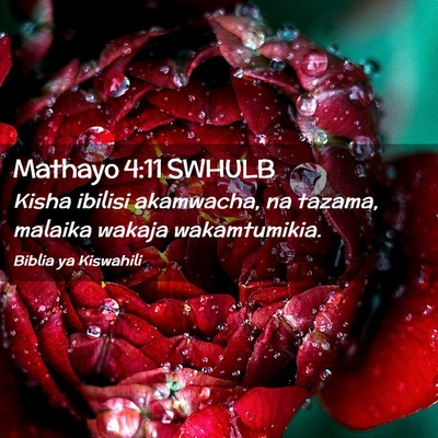 Picture 02 - Mathayo 4:11 SWHULB - Kisha ibilisi akamwacha, na tazama, malaika - Bible Verse Picture